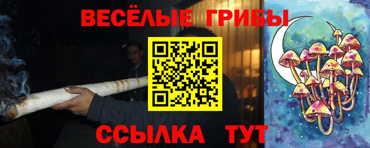 Псилоцибиновые грибы Magic Shrooms  Галлюциногенные грибы GOLDEN TEACHER  Вход с VPN  Когалым 